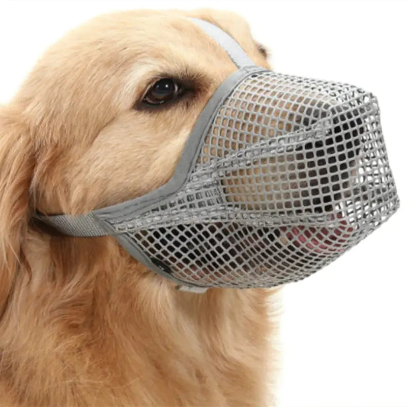Chic Dog Safety Mask