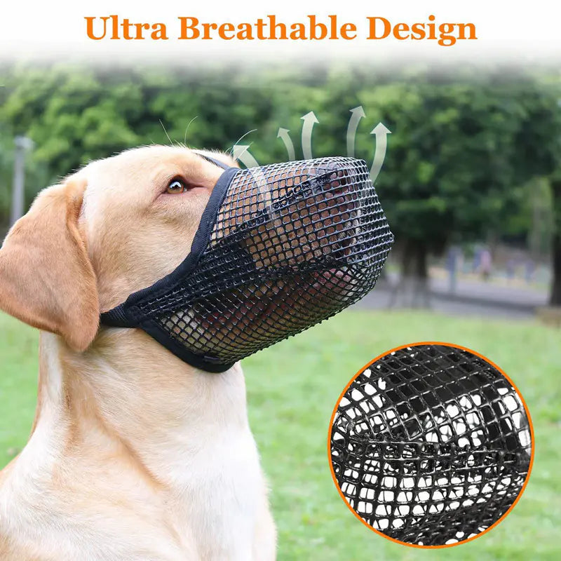 Chic Dog Safety Mask