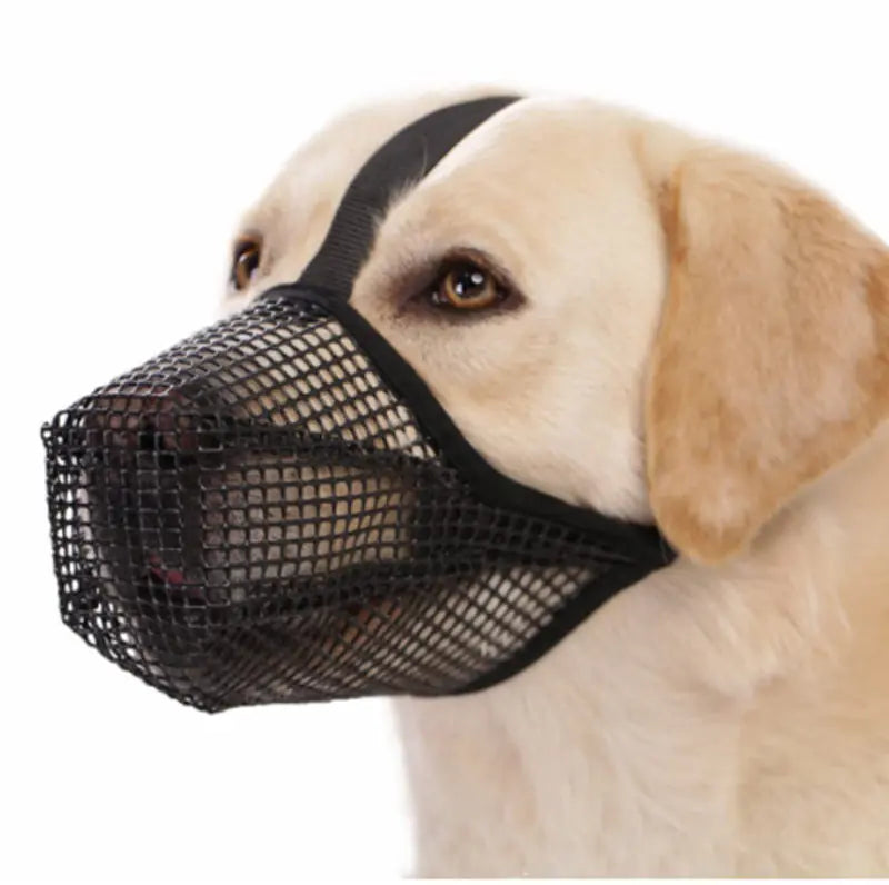 Chic Dog Safety Mask